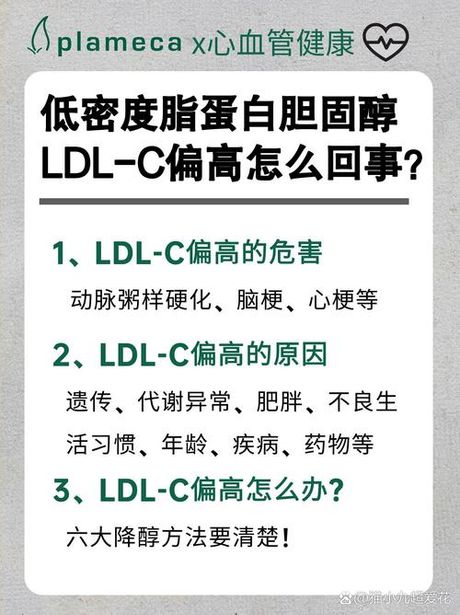 低密度脂蛋白胆固醇偏高的原因，你了解低密度脂蛋白胆固醇偏高的原因吗？