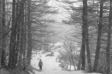 《雪山飞狐》电视剧：江湖恩怨，英雄豪情